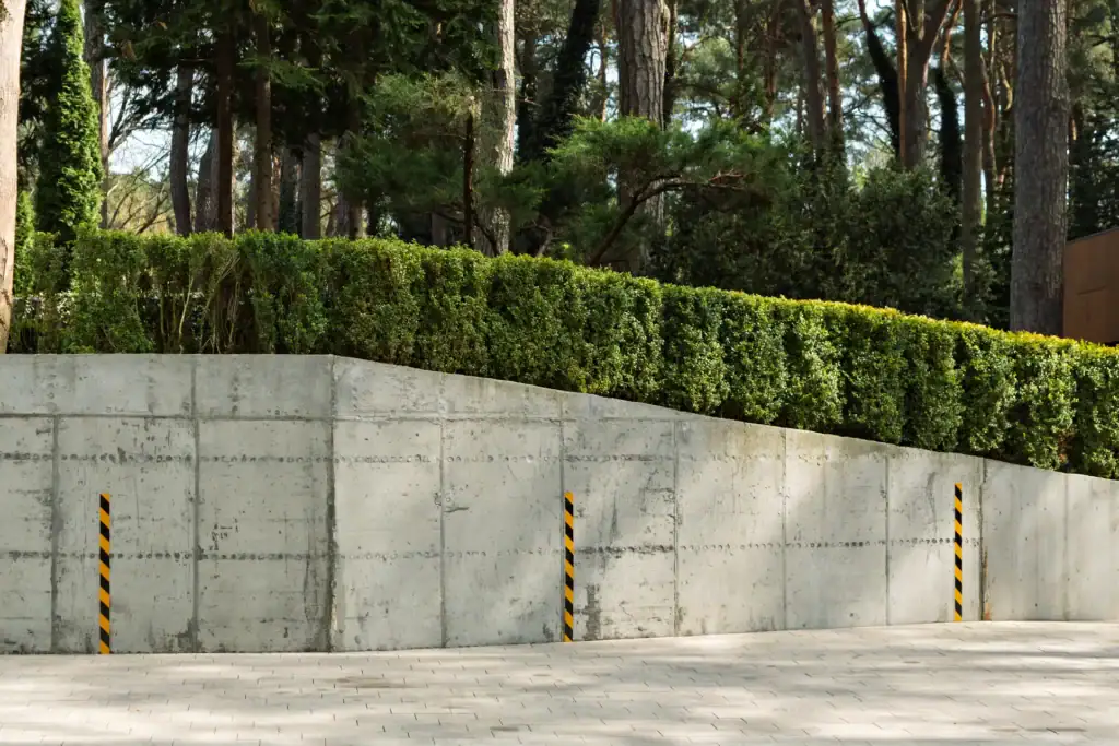 A concrete retaining wall with three black and yellow striped bollards in front, neatly trimmed green bushes above the wall, and tall pine trees in the background.