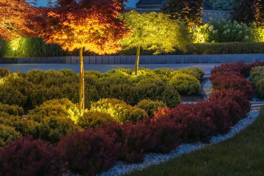 A landscaped garden at dusk with illuminated trees, neatly trimmed bushes, and winding gravel paths bordered by red and green shrubs.