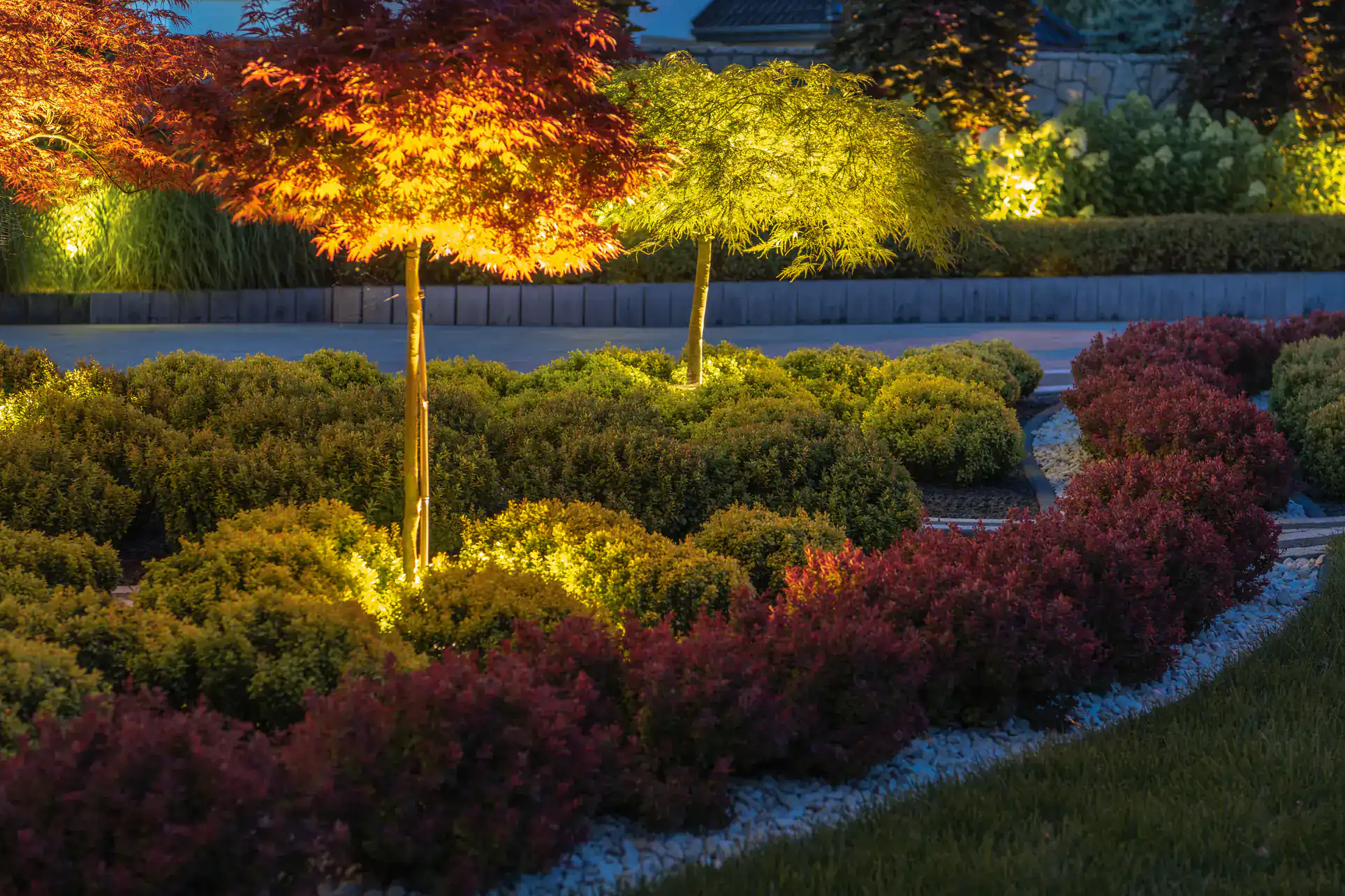 A landscaped garden at dusk with illuminated trees, neatly trimmed bushes, and winding gravel paths bordered by red and green shrubs.