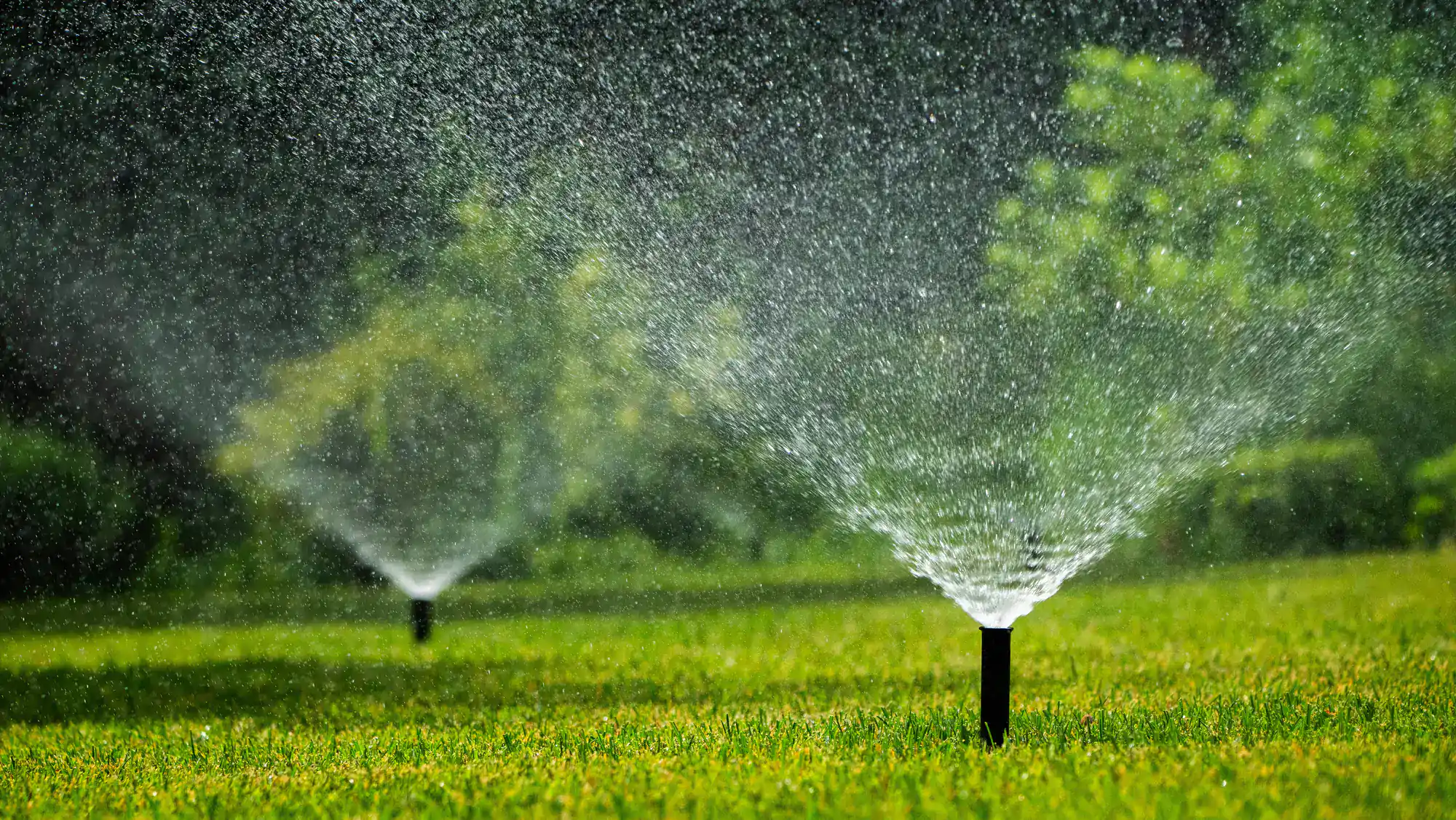 Two sprinklers spray water over a green lawn, creating a fine mist. The background is blurred with greenery, suggesting a garden or park setting.