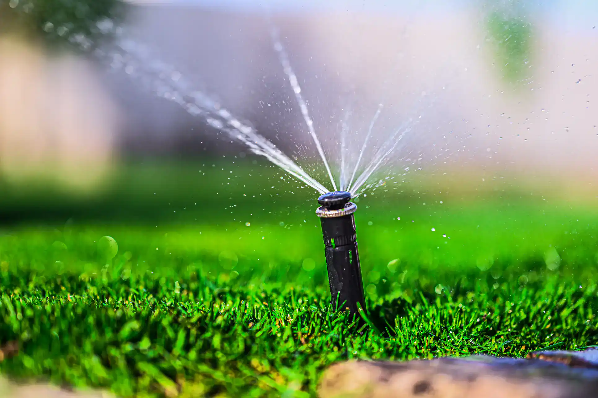 A sprinkler sprays water in multiple streams onto green grass, watering a lawn on a sunny day with a blurred background.