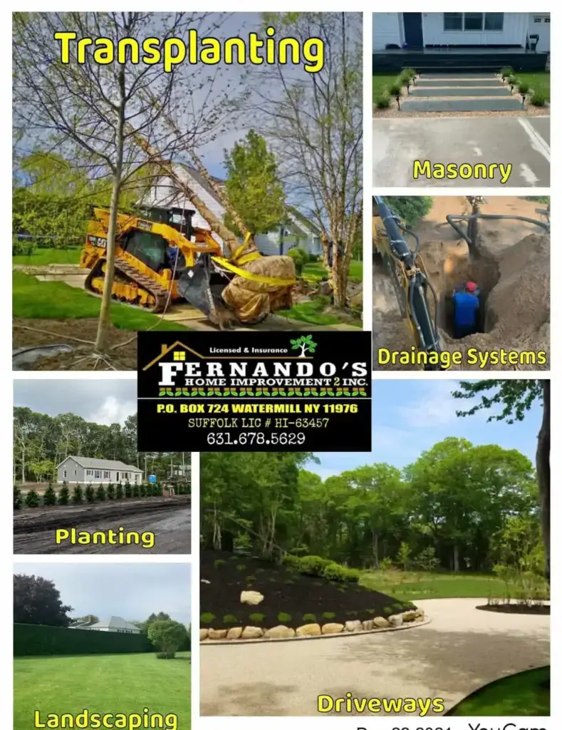 A collage promoting Fernando's Home Improvement with images of tree transplanting, masonry, drainage systems, planting, landscaping, and driveways. Contact info and services are listed in the center.